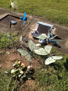 Image Credit Robyna May